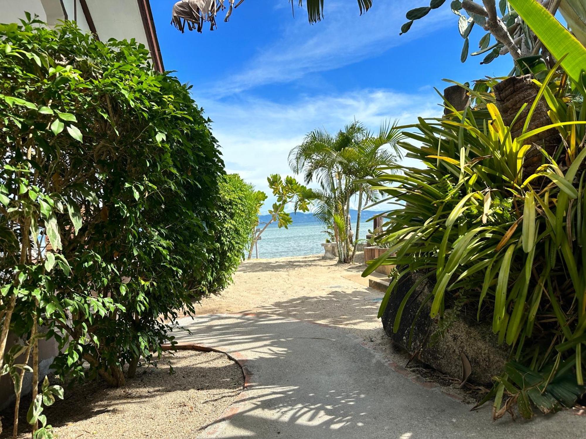 Phangan Lodge بان تاي المظهر الخارجي الصورة